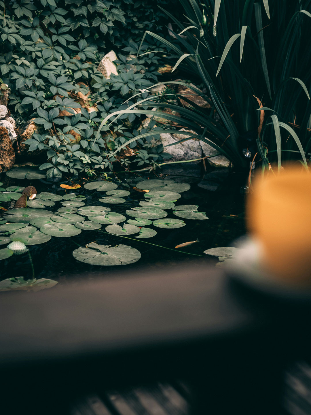 Teichanlage mit Seerosen und Bepflanzung