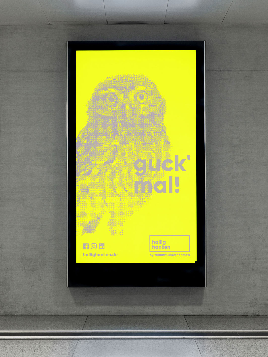 Kampagnenmotiv mit Eule für hallig hanken in Oldenburg – Corporate Design und Markenauftritt